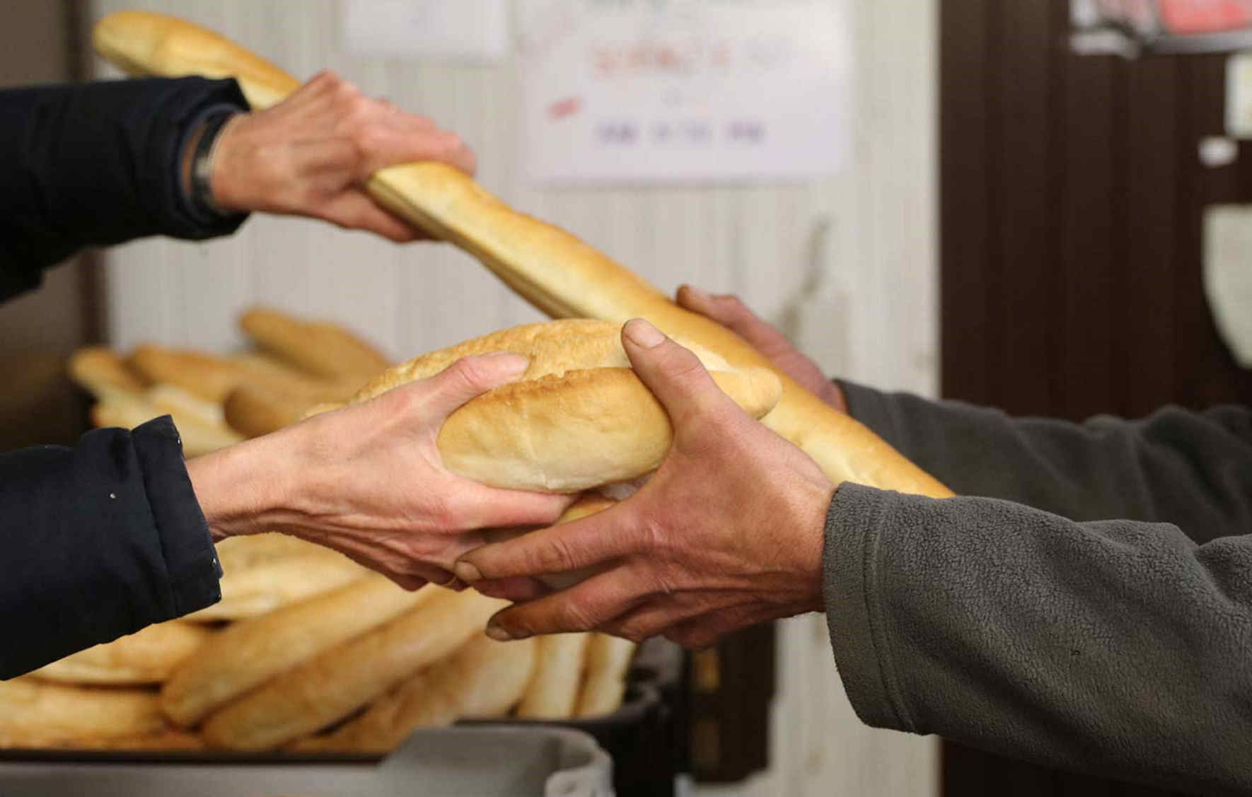 Brood in hand